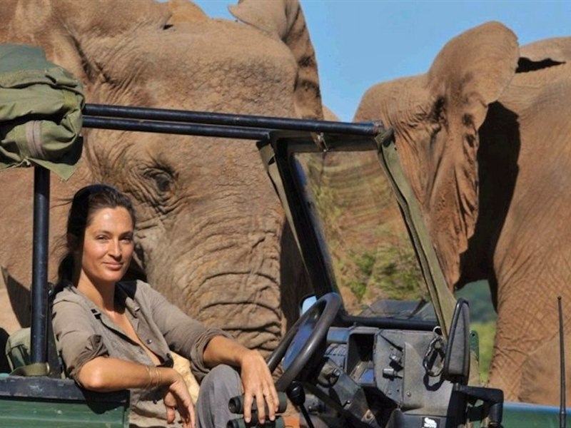 Best trips to see African elephants