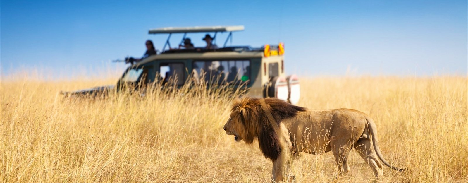 Choosing where to go on safari