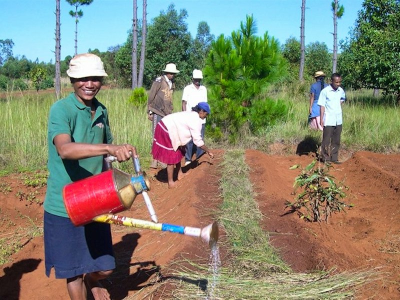 Responsible Traveller: Rainbow Tours' charity partnerships