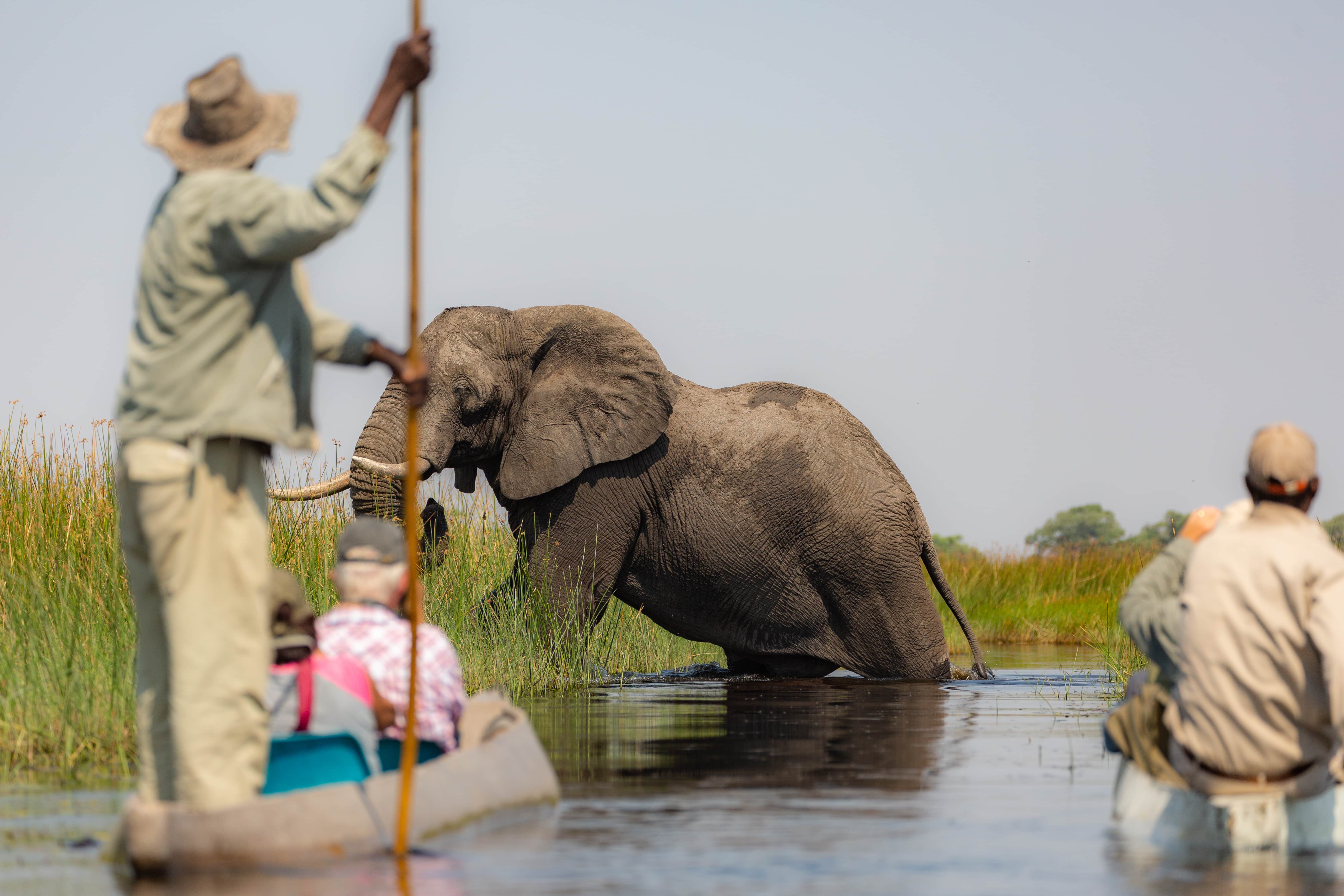 The Six Types of African Safari
