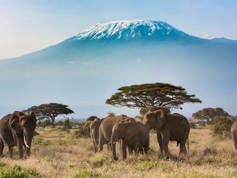 Top 5 First Time Safari Destinations