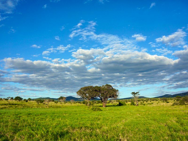 What’s the Green Season? Complete Low Season Safari Guide